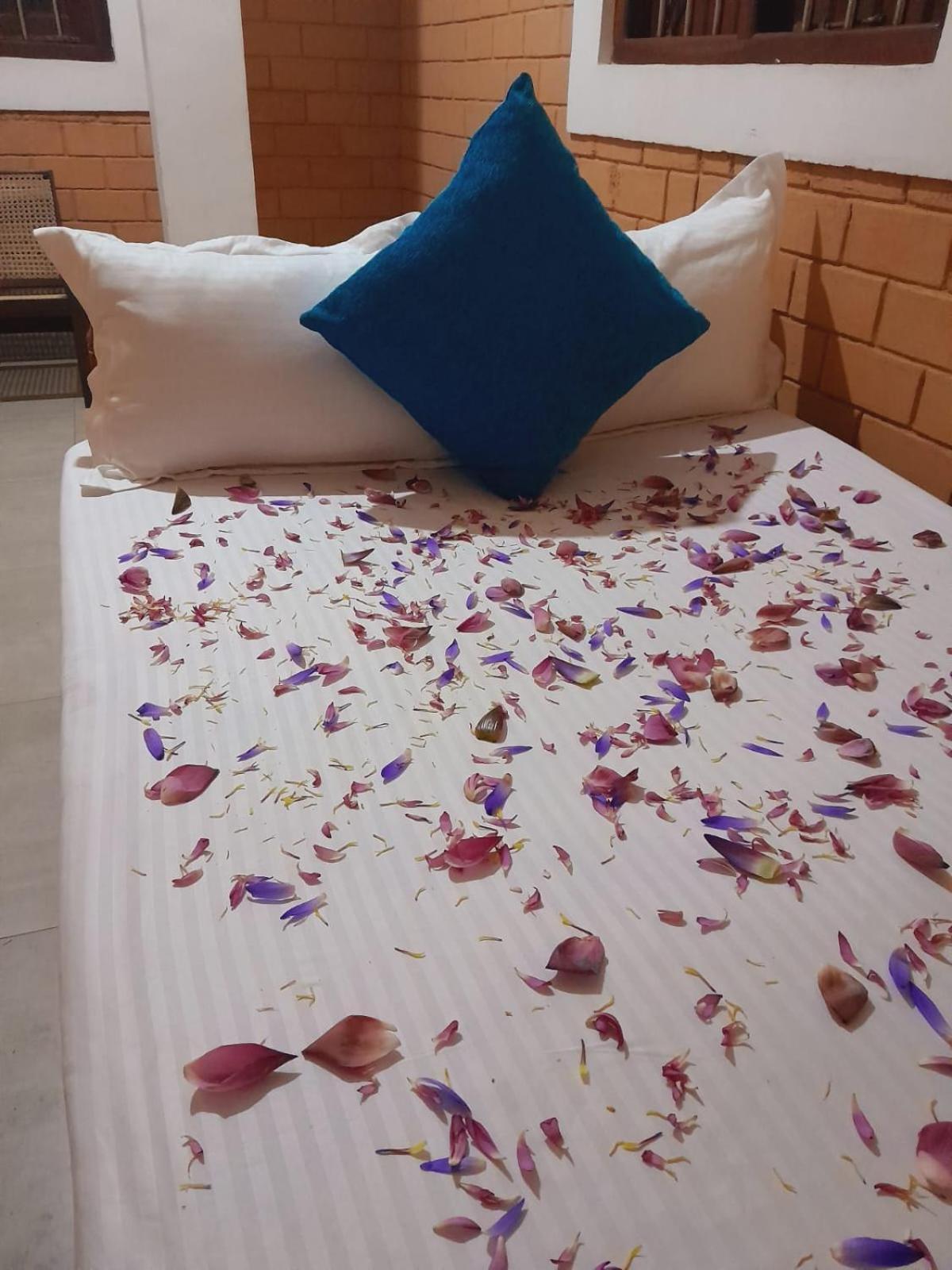 Laliz Bed and Breakfast Galle Buitenkant foto