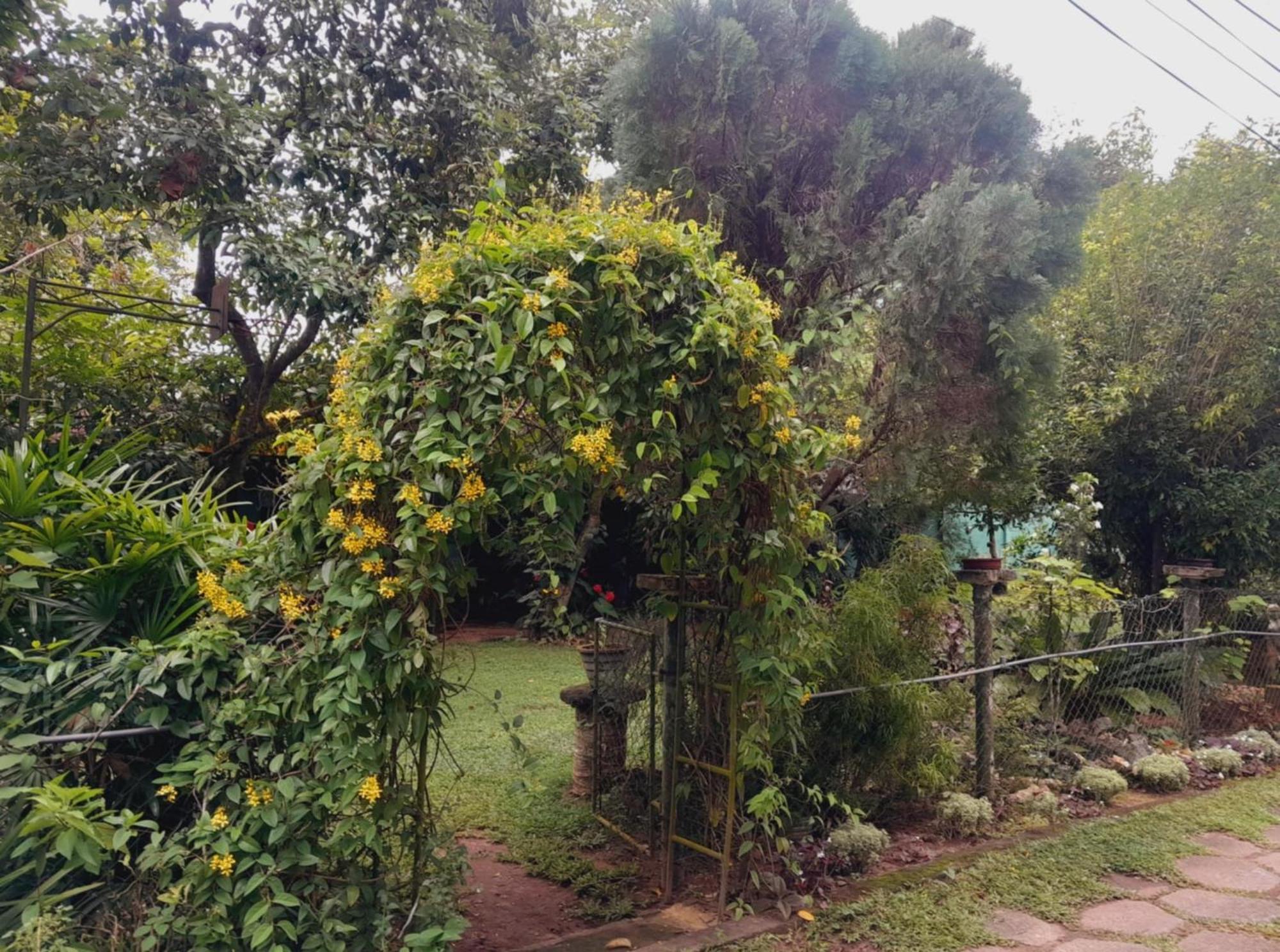 Laliz Bed and Breakfast Galle Buitenkant foto