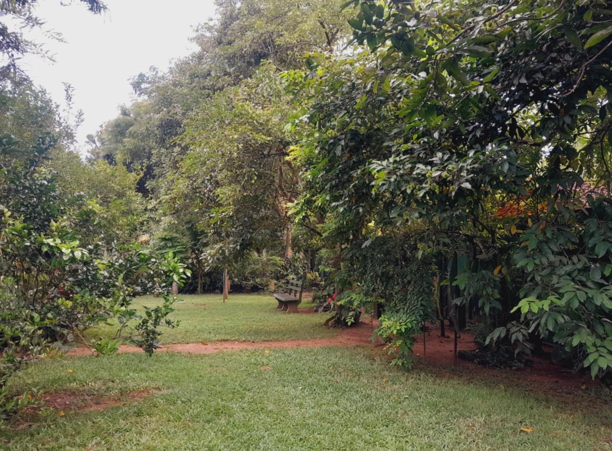 Laliz Bed and Breakfast Galle Buitenkant foto